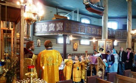 Verbnoe_Trondheim_17apr2011_5