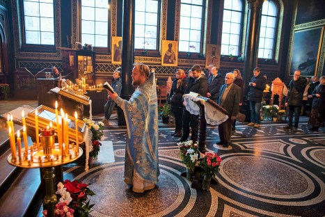 cd490d3099d0068027826d6cba28a997